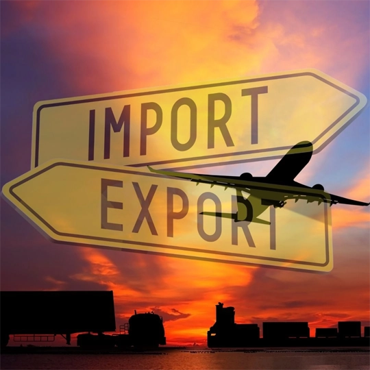 Dystrybucja i import
