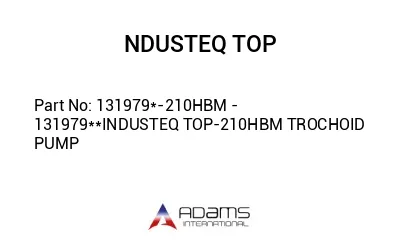 131979*-210HBM - 131979**INDUSTEQ TOP-210HBM TROCHOID PUMP