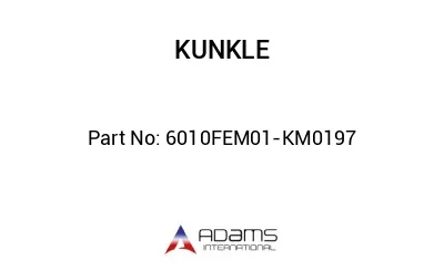 6010FEM01-KM0197 6010FEM01-KM0197