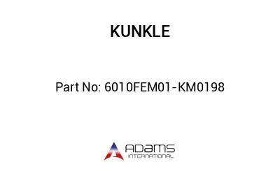 6010FEM01-KM0198 6010FEM01-KM0198