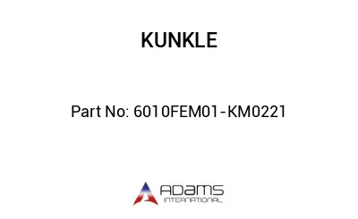 6010FEM01-KM0221 6010FEM01-KM0221