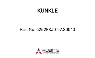 6252FKJ01-AS0040 6252FKJ01-AS0040