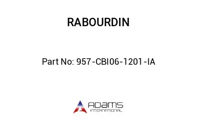 957-CBI06-1201-IA