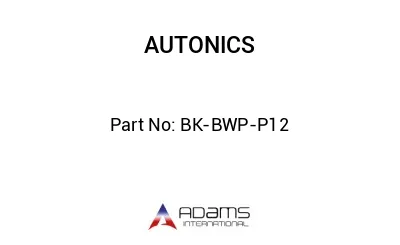 BK-BWP-P12