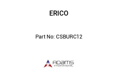 CSBURC12