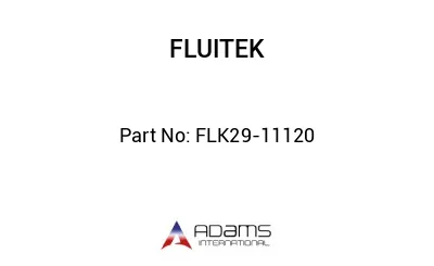 FLK29-11120