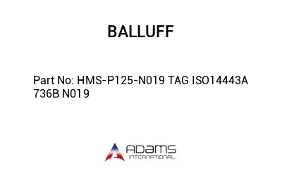 HMS-P125-N019 TAG ISO14443A 736B N019									